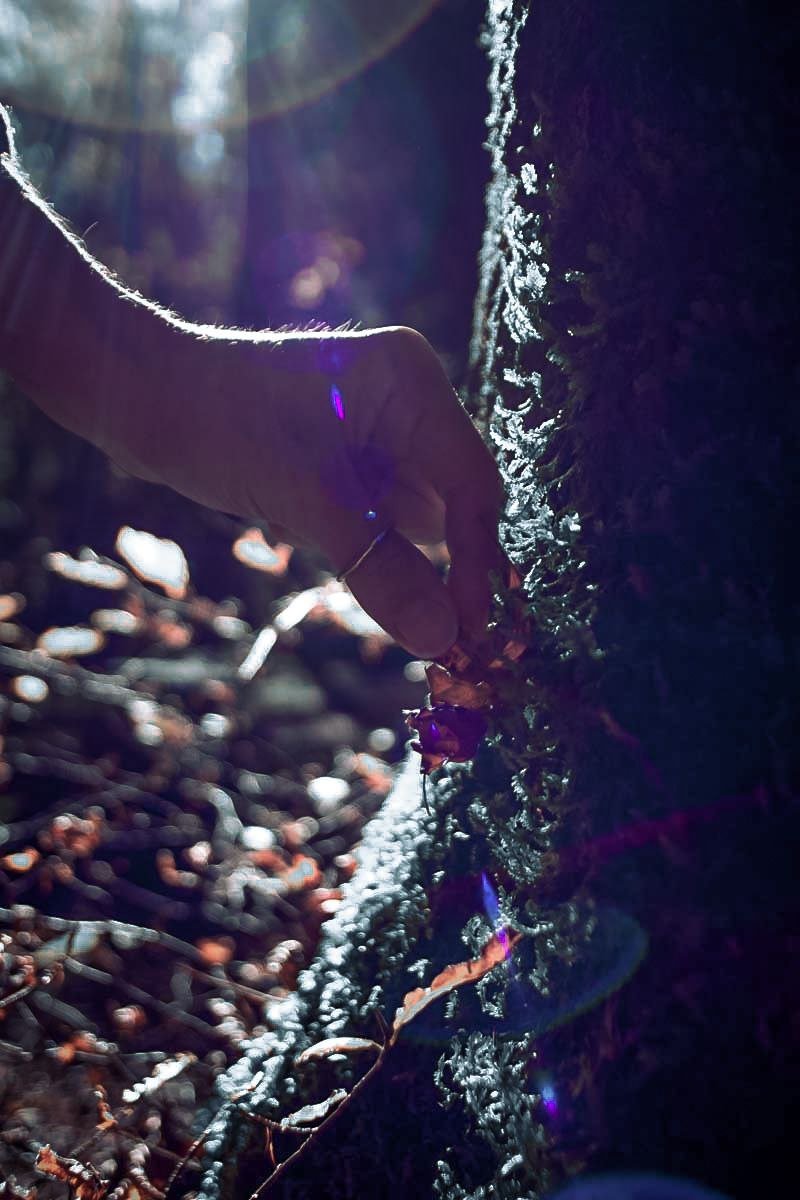 Ulap promuove la cultura slow attraverso design, comunicazione ed esperienze turistiche